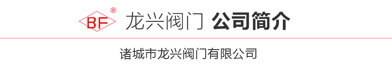 公司簡(jiǎn)介